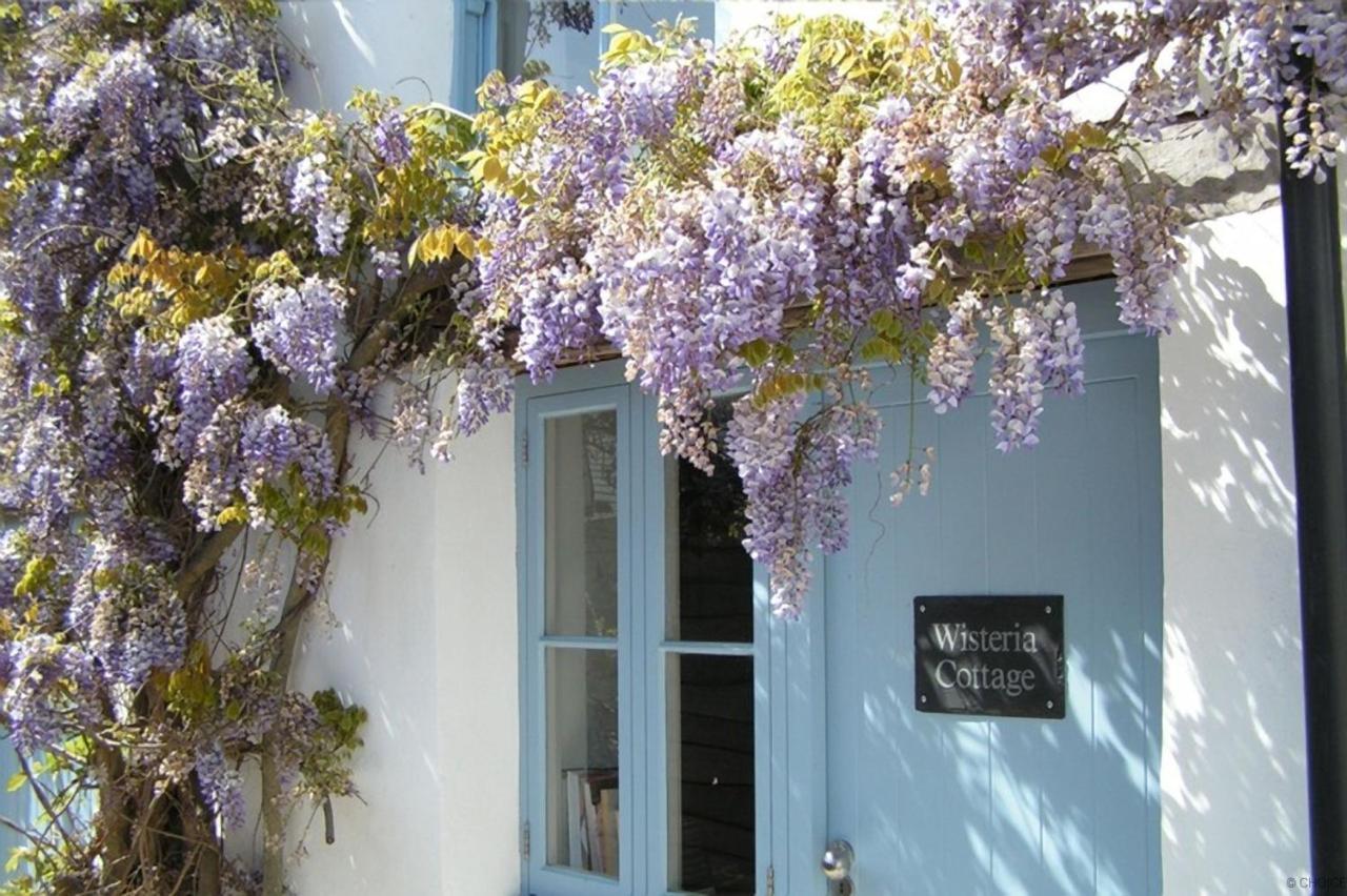 Croyde Wisteria Cottage 4 Bedrooms Bagian luar foto